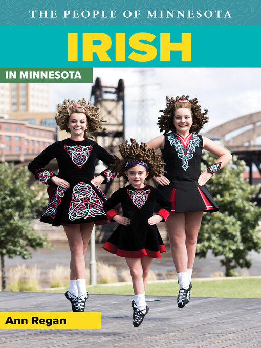Cover image for Irish in Minnesota